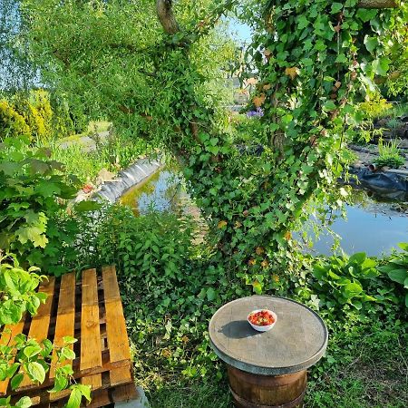 Apartament U Beti 奥普尔 外观 照片