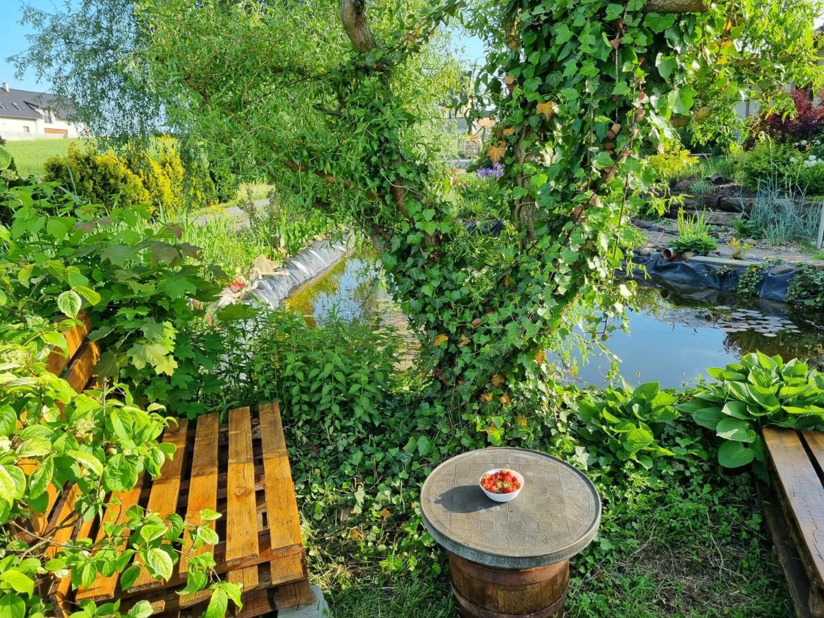 Apartament U Beti 奥普尔 外观 照片